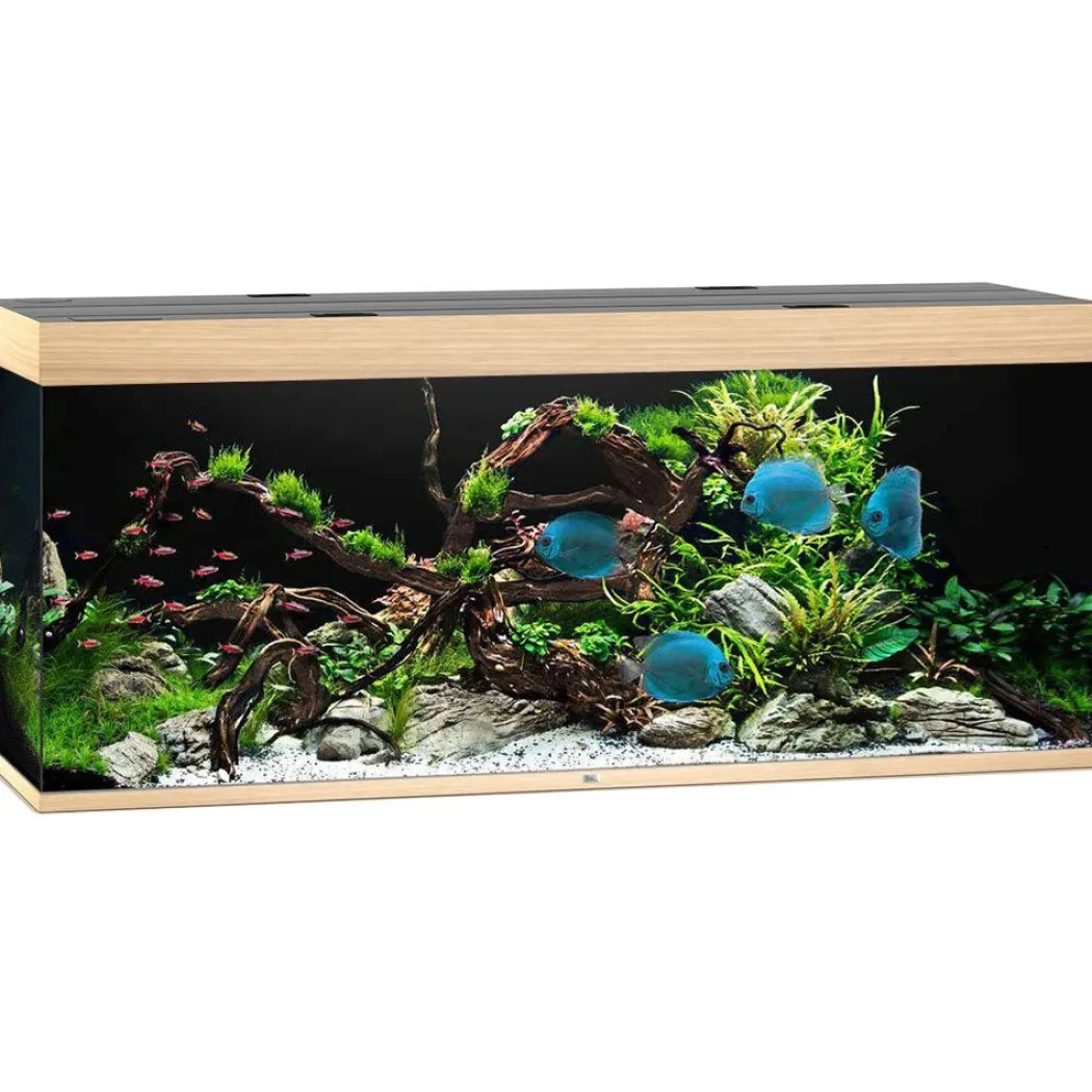 Juwel Akvarium Led Rio 450 Eg 151x51x66 cm 450 L