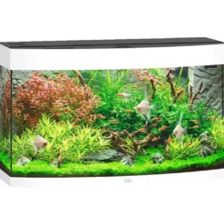 Juwel Aquarium VISION 180 Hvid