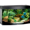 Juwel Aquarium VISION 180 Sort