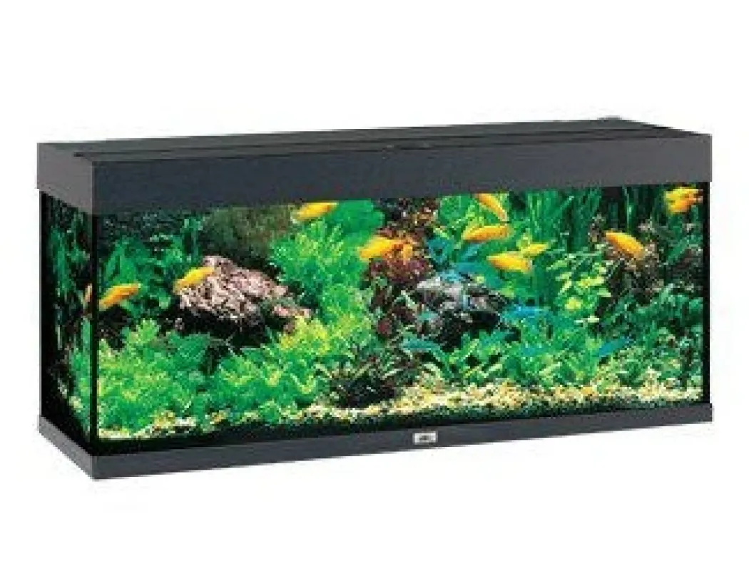 Juwel Rio 240 L Sort 121x41x55 cm