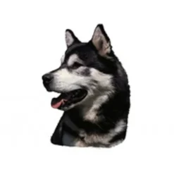 Klistermærke af Alaskan Malamute Hoved Mini