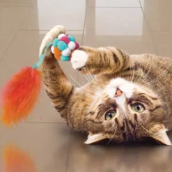 KONG Cat Active Bubble Ball kattelegetøj