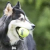 KONG Tennisbold Stor 8 cm med pivlyd - robust hundebold