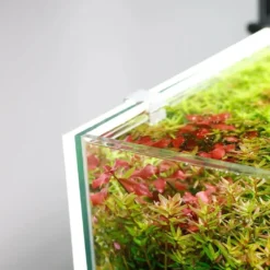 LED Lys Baggrund til akvariet 30x30x1 cm