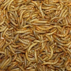 Melorme Tørret 1 kg