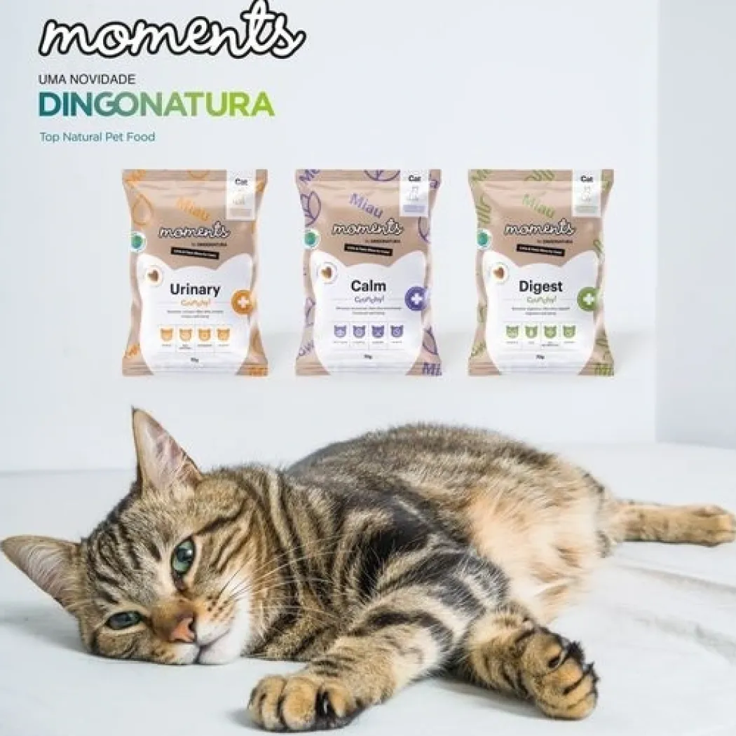 Moments Cat Urinary snack 70 g