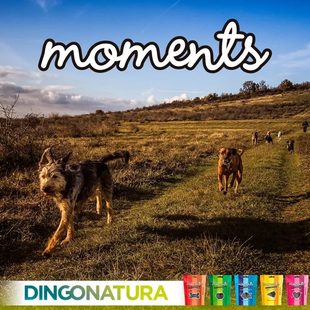 Moments hundesnack Iberisk skinke 60 g - naturlige hundegodbidder