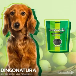 Moments hundesnack Kylling og Frugt 60 g - fuldfoder hundegodbidder
