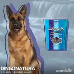 Moments hundesnack Laks 60 g - fuldfoder hundesnacks
