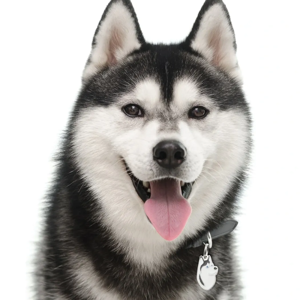 My Family Hundetegn Friends Siberian Husky Sort