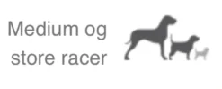 Natura Diet Daily hundefoder 3 kg - Naturligt tørfoder med kylling og ris