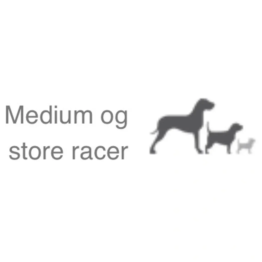 Natura Diet Lam og Ris Hundefoder 12 kg - Sundt foder
