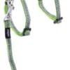 Nightcat Kattesele og Linesæt 8 mm Lime Swallows