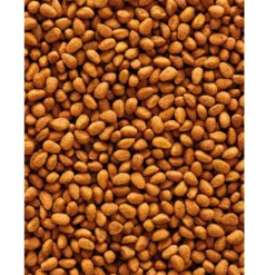 Nutribird G 14 Original Parakit 1 kg