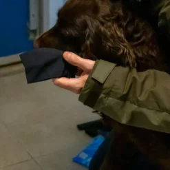 Ozami hundesokker L sort - bløde sokker til store hundepoter