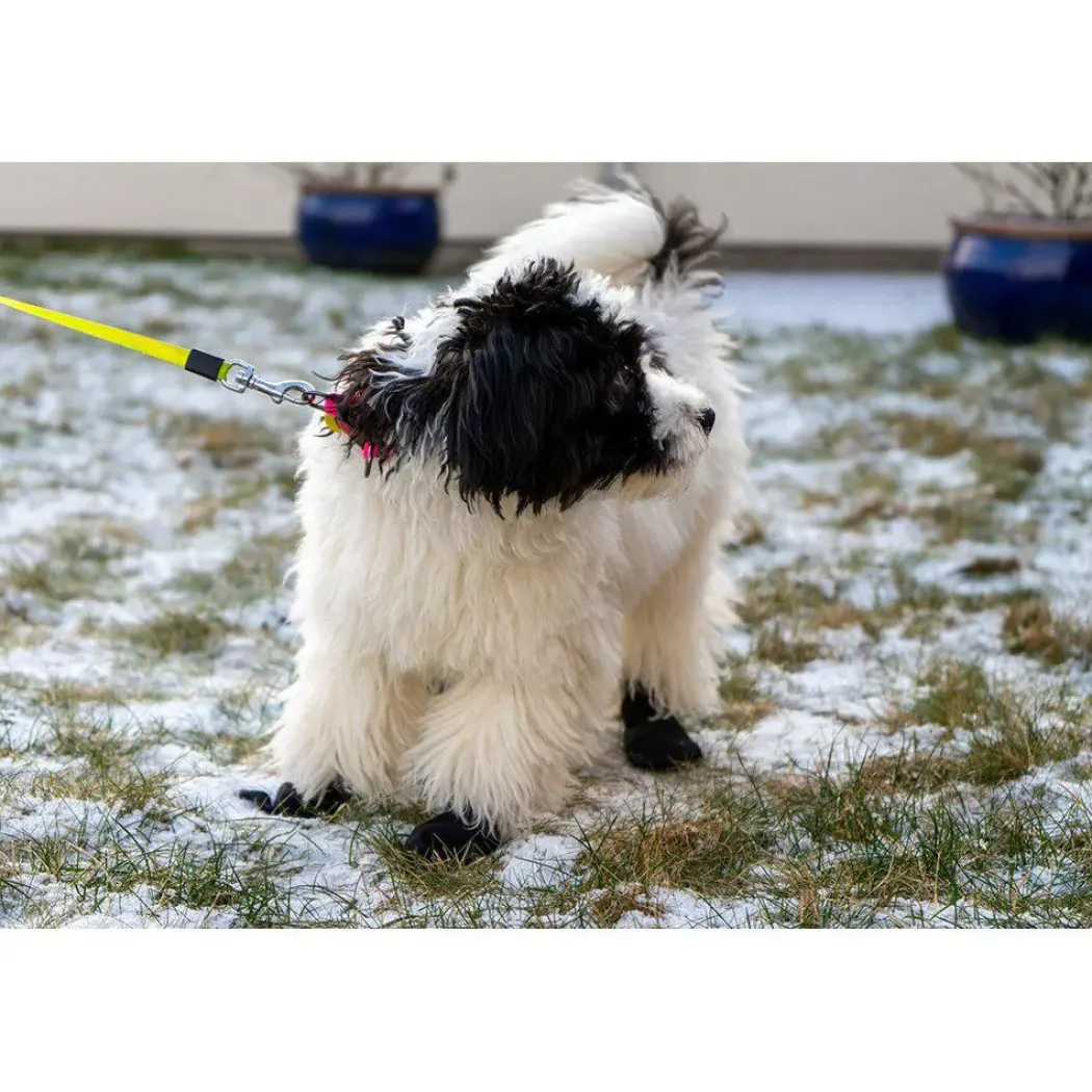 Ozami hundesokker S sort - 4 stk let beskyttelse til poter