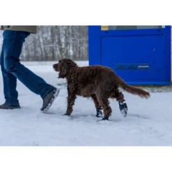 Ozami hundesokker XL sort - bløde sokker til store hundepoter