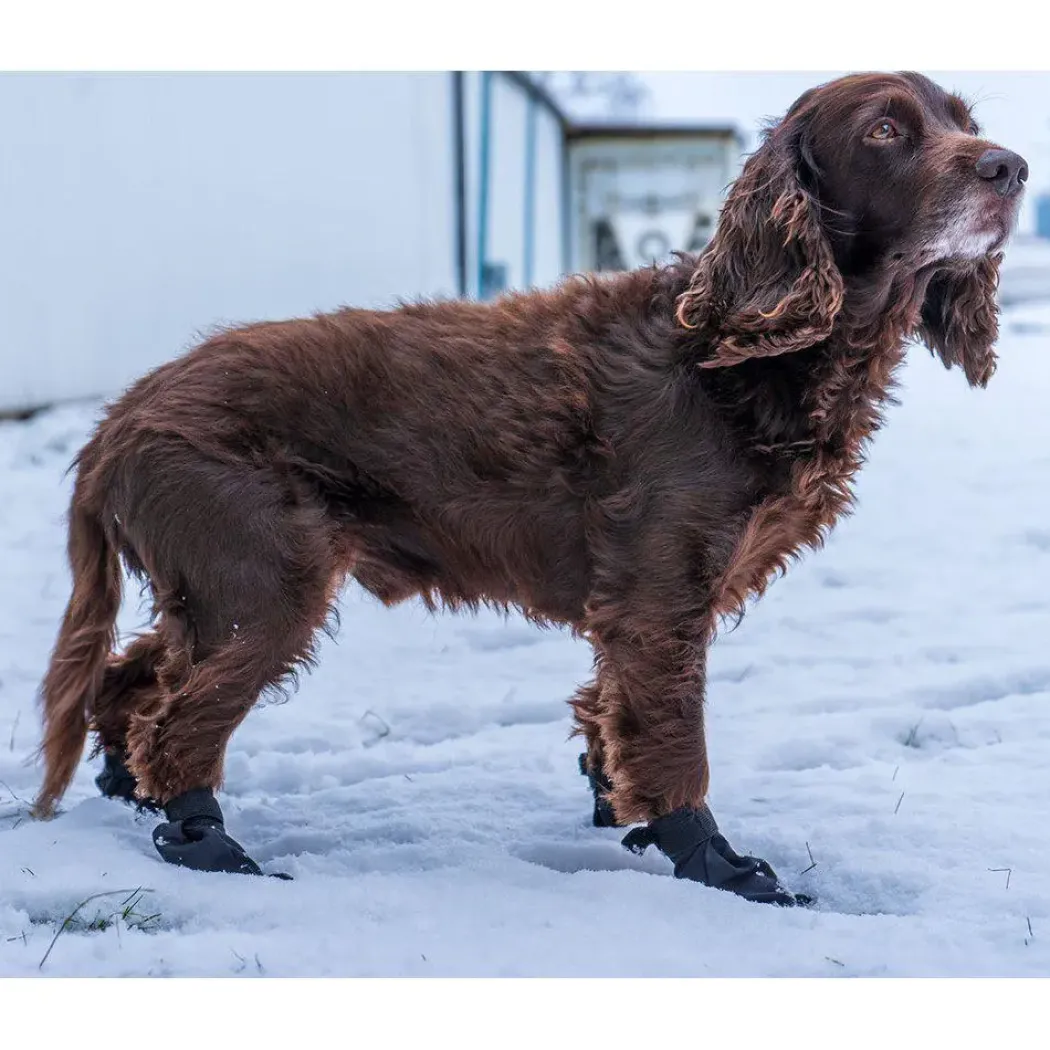 Ozami hundesokker XS sort - 4 stk til små hundepoter