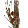 Palme ris Terrarium dekoration