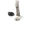 Pawz hundesko Large 10,2 cm sort