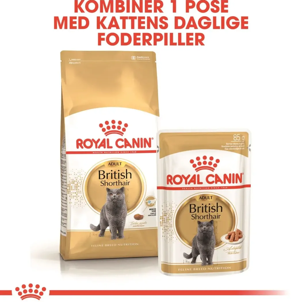 Royal Canin British shorthair 2 kg
