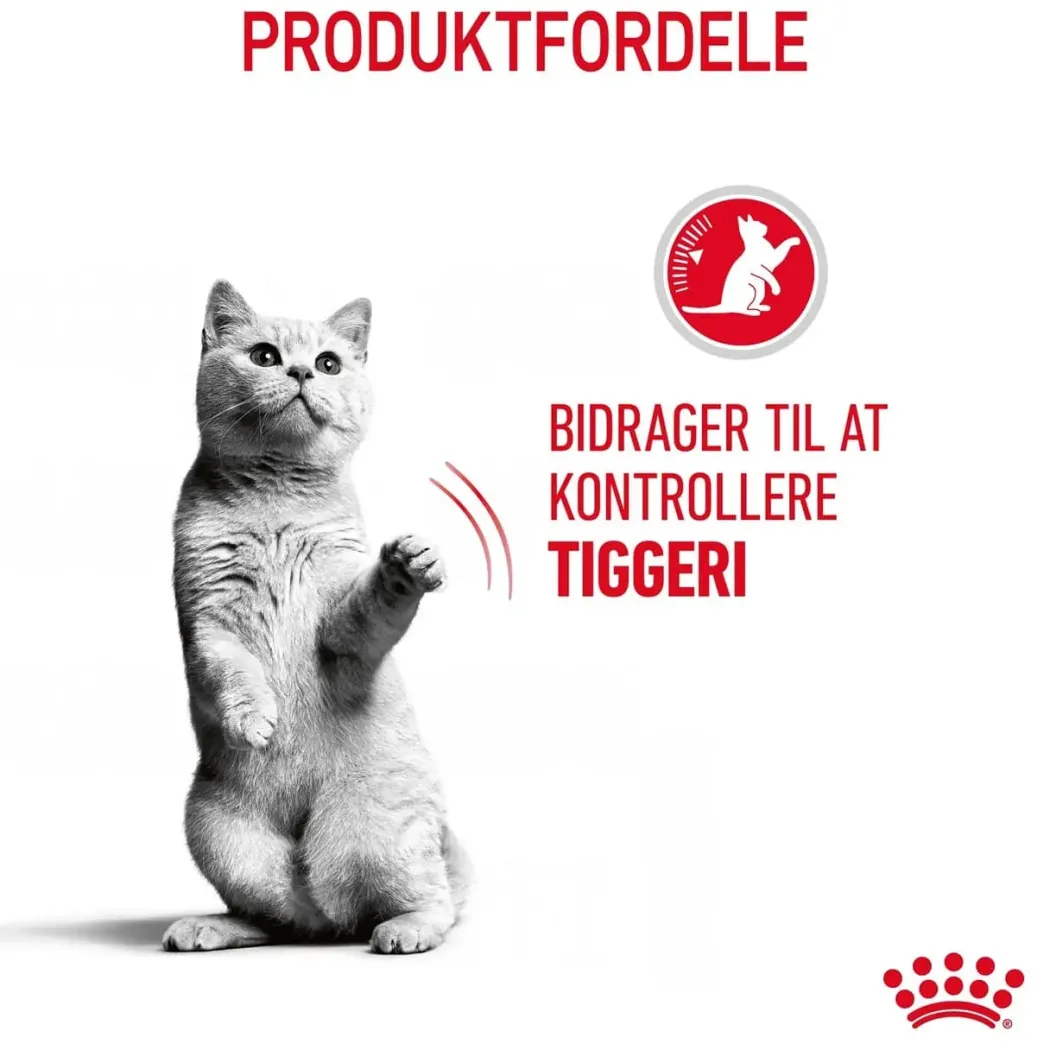 Royal Canin Care Appetite Control 400 gram