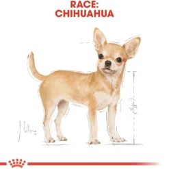 Royal Canin Chihuahua Adult 3 kg - tørfoder til små hunde
