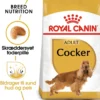 Royal Canin Cocker Spaniel Adult 12 kg - tørfoder til voksne hunde