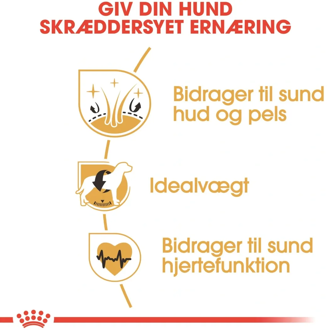 Royal Canin Cocker Spaniel Adult 12 kg - tørfoder til voksne hunde