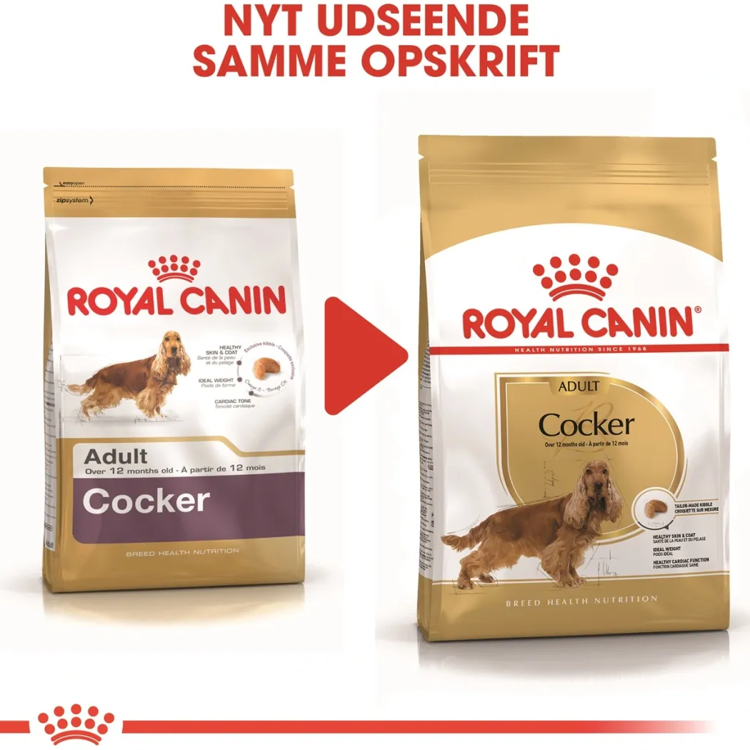 Royal Canin Cocker Spaniel Adult 12 kg - tørfoder til voksne hunde