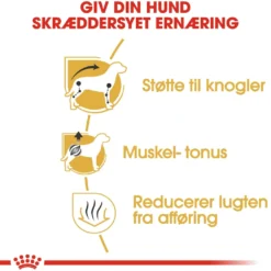 Royal Canin Dachshund Adult 1,5 kg - tørfoder til gravhunde