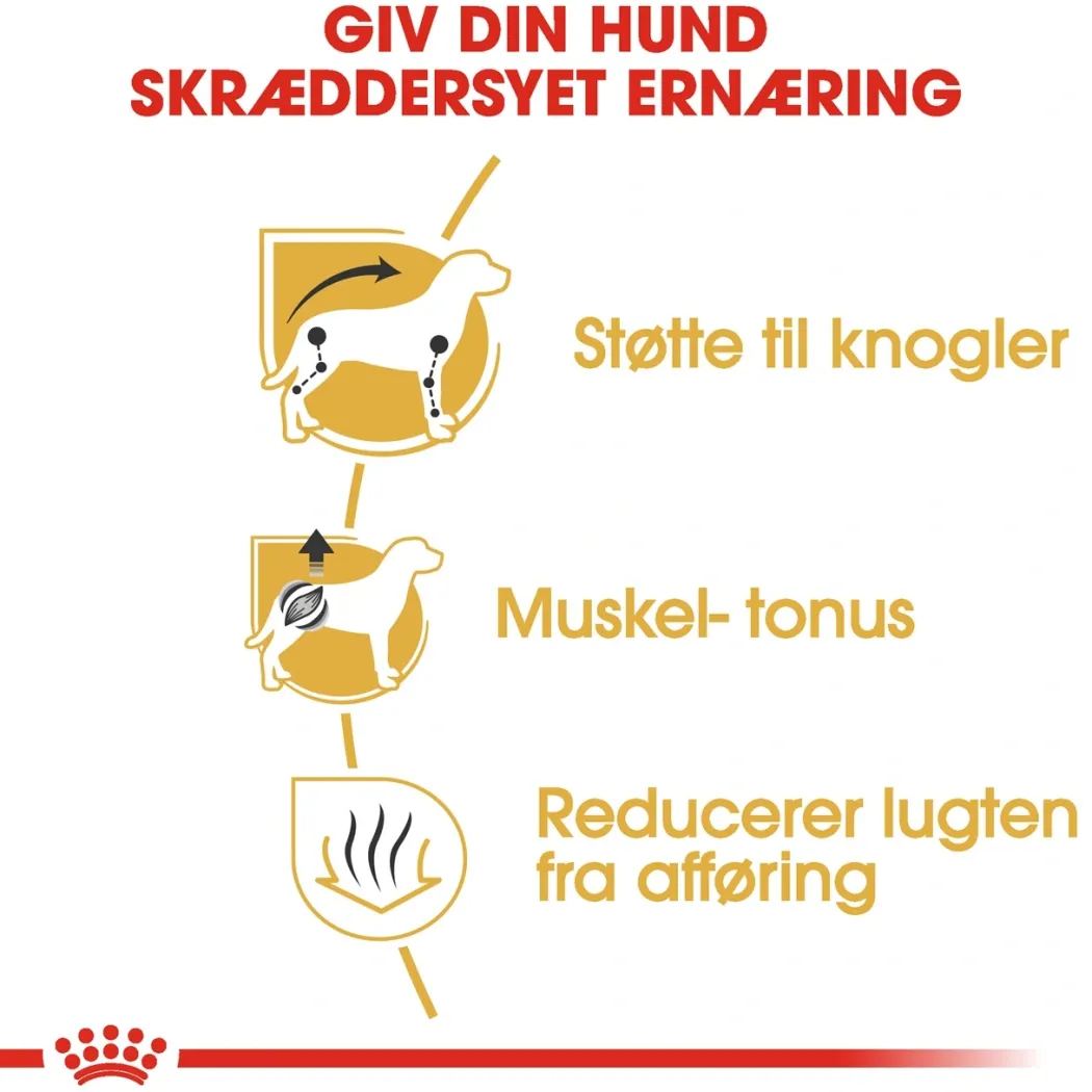 Royal Canin Dachshund Adult 1,5 kg - tørfoder til gravhunde