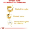 Royal Canin Dachshund Adult 7,5 kg - tørfoder til gravhunde