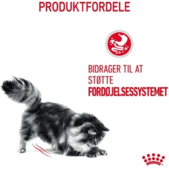 Royal Canin Digestive Care 4 kg