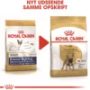 Royal Canin French Bulldog Adult 9 kg - tørfoder til voksne hunde