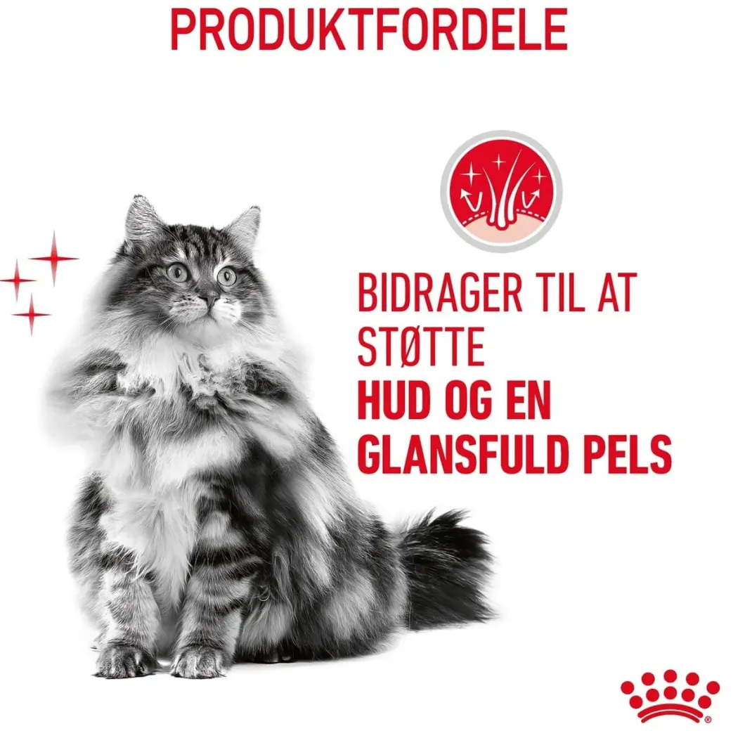 Royal Canin Hair and Skin care 400 g