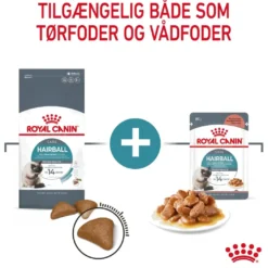 Royal Canin Hairball Care 4 kg