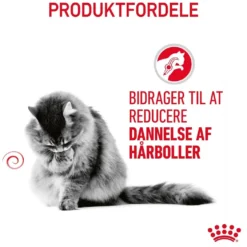 Royal Canin Hairball Care 4 kg
