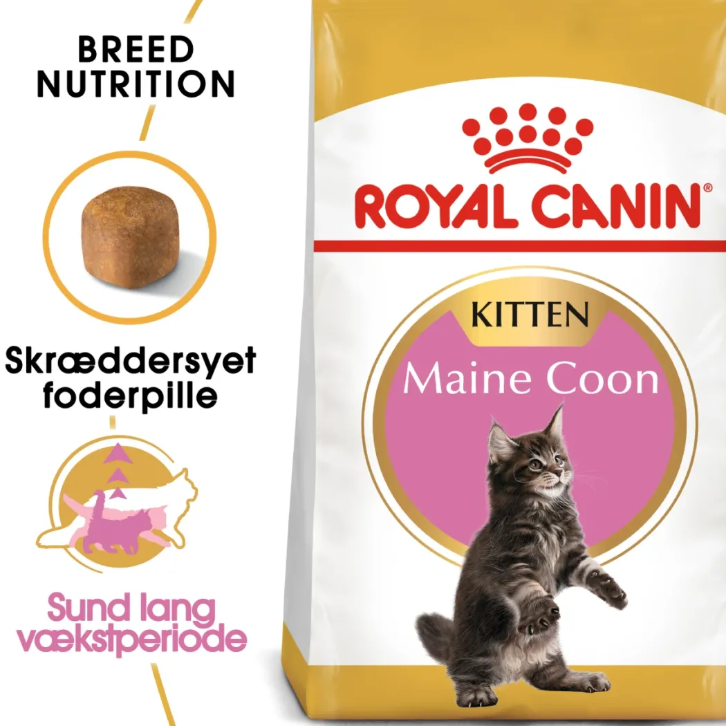 Royal Canin Kitten Maine Coon 10 kg