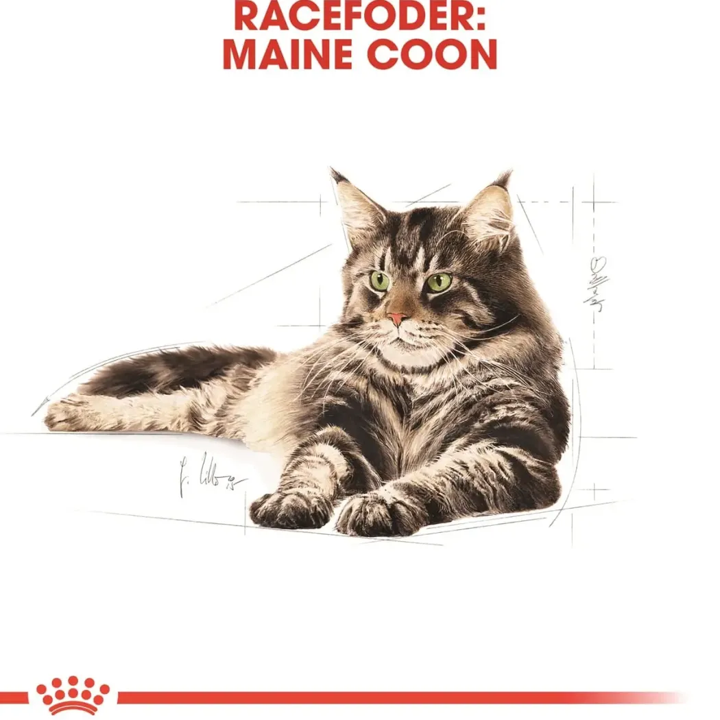 Royal Canin Maine Coon 10 kg