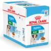 Royal Canin Mini Puppy vådfoder 12 x 85 g - nærende hvalpemad
