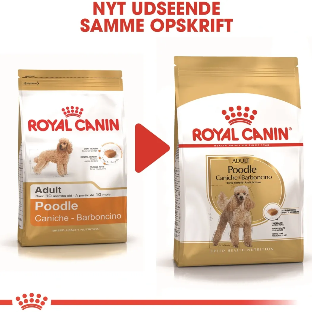 Royal Canin Poodle Adult 1,5 kg - tørfoder til voksne pudler