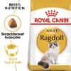 Royal Canin Ragdoll 2 kg