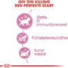 Royal Canin Second Age Kitten 400 g