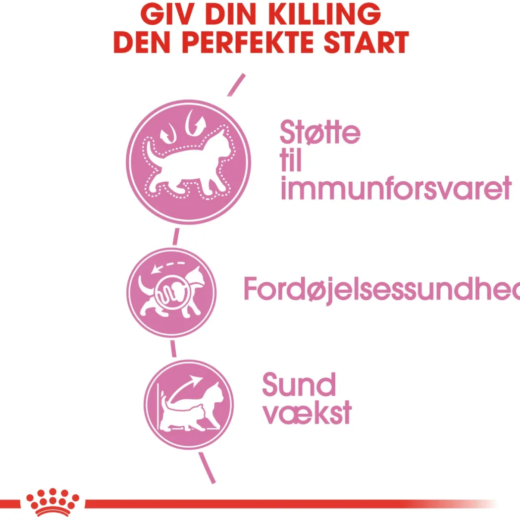 Royal Canin Second Age Kitten 2 kg