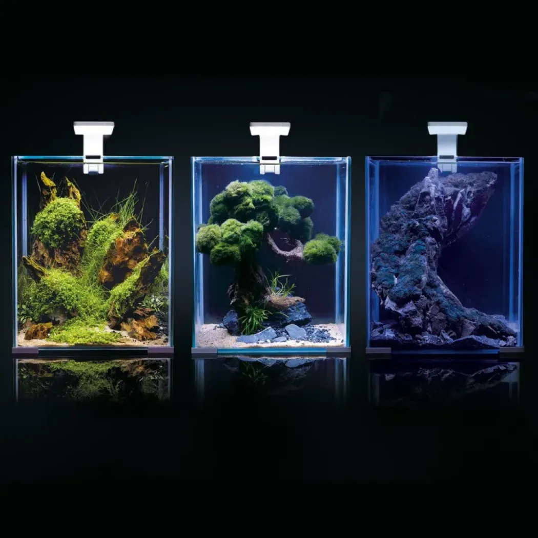 Shrimpset Day and Night 10 L 20x20x25 cm Hvid