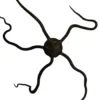 Slangesøstjerne Ophioderma rubicundum