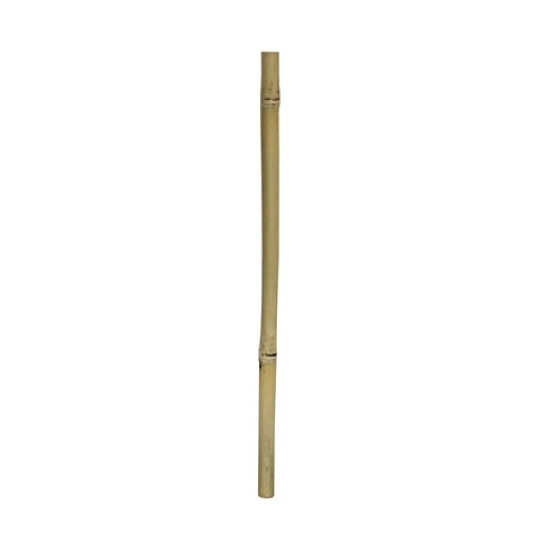 1 stk Gul bambus 100 cm Ø 2 - 3 cm.