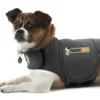 Thundershirt S