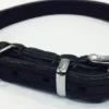 Timely halsbånd olieret læder sort 12 mm 20 cm - blød kontrol til små hunde